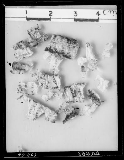 1QPhyl (1Q Phylactery) (Scan 1) showing Deuteronomy 5:24 from Late 2nd Century BC found in Qumran, Cave 1, currently housed at Jordan Archaeological Museum, Amman