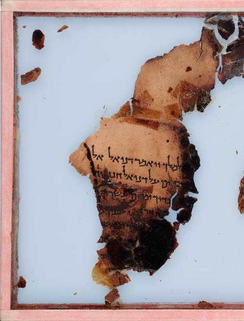 1QDan a (Scan 1) showing Daniel 1:10 from First half of the 1st Century AD found in Qumran, Cave 1, currently housed at Private Collection