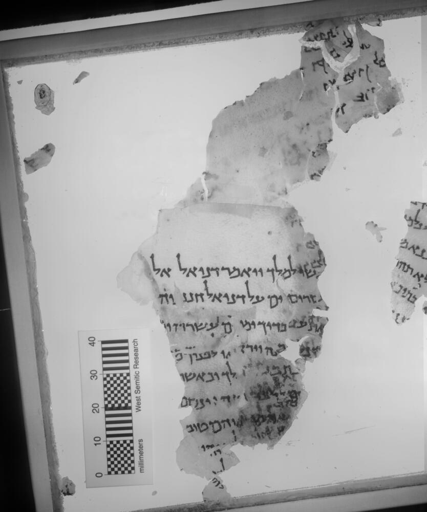 1QDan a (Scan 2) showing Daniel 1:10 from First half of the 1st Century AD found in Qumran, Cave 1, currently housed at Private Collection