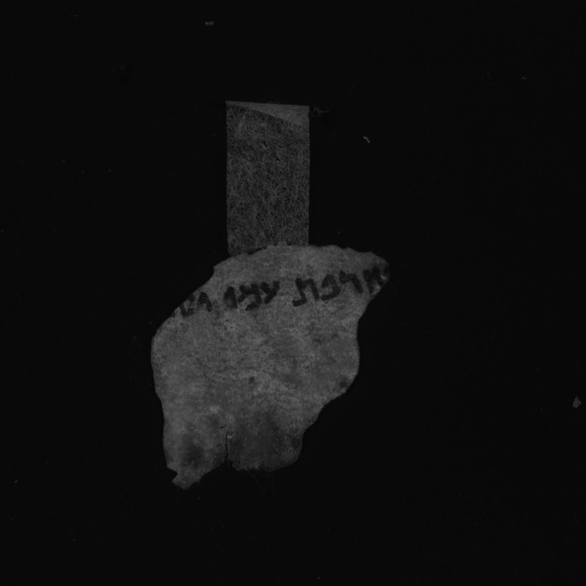 1QIsa b (1QIsaiah b) (Scan 5) showing Isaiah 38:21 from Late Hasmonean or Early Herodian Period (c. 100–50 BC) found in Qumran, Cave 1, currently housed at Shrine of the Book, Israel Museum, Jerusalem; Rockefeller Museum, Jerusalem