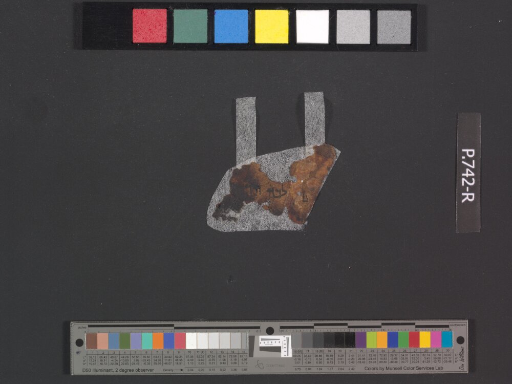 2Q Deuteronomy b showing Deuteronomy 17:13 from Late 1st Century BC – Mid-1st Century AD found in Qumran, Cave 2, currently housed at Rockefeller Museum, Jerusalem