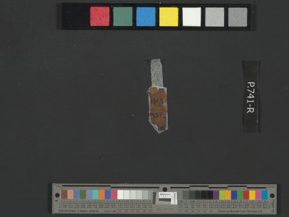 2Q Jeremiah showing Jeremiah 51:12 from Late 1st Century BC – Mid-1st Century AD found in Qumran, Cave 2, currently housed at Rockefeller Museum, Jerusalem
