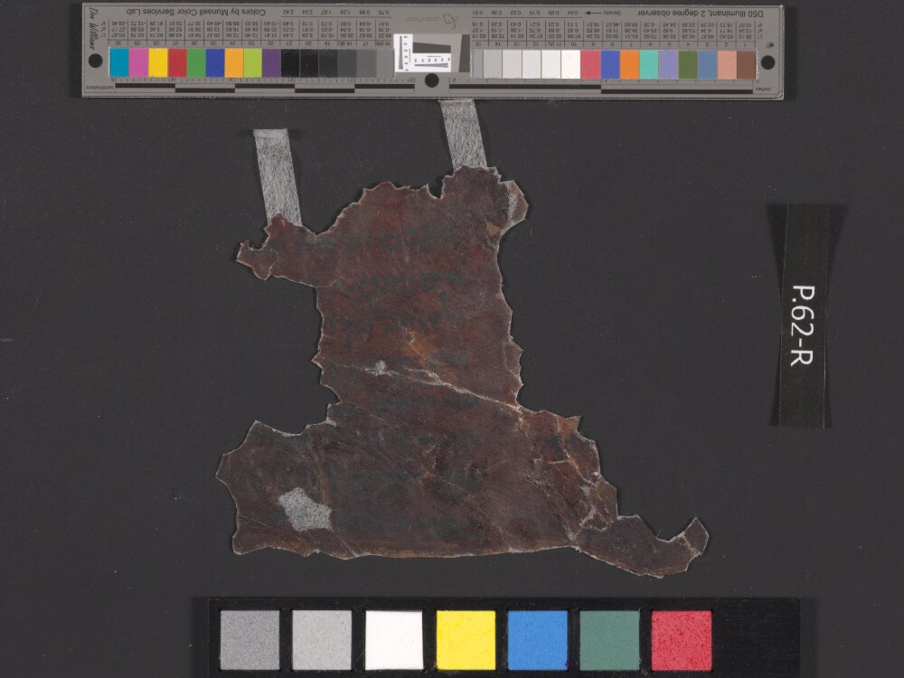 2Q Ruth a (Scan 5) showing Ruth 2:19 from Late 1st Century BC found in Qumran, Cave 2, currently housed at Rockefeller Museum, Jerusalem