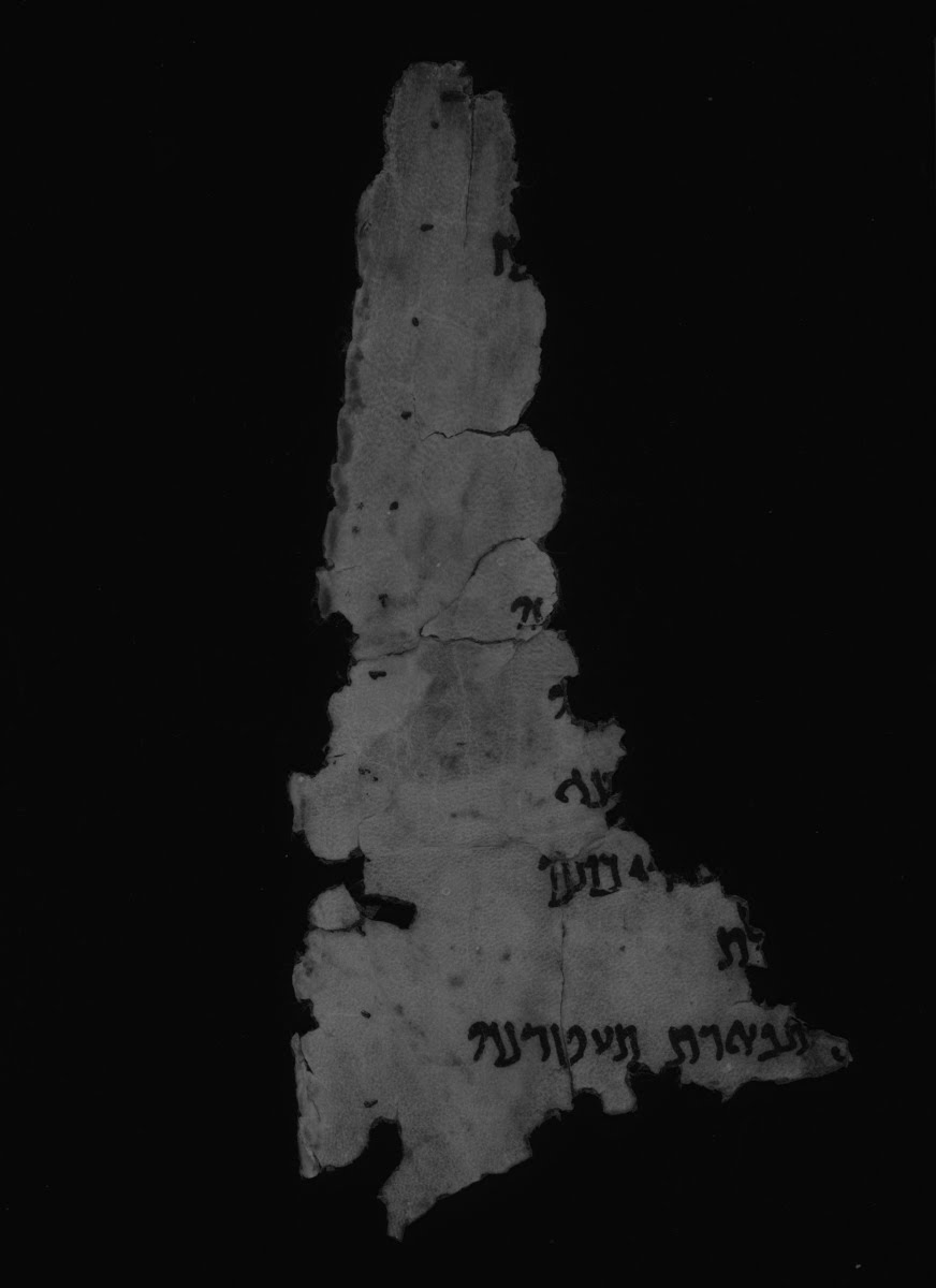 2Q Ben Sira (Scan 2) showing Sirach 6:15 from Second half of the 1st Century BC found in Qumran, Cave 2, currently housed at Rockefeller Museum, Jerusalem