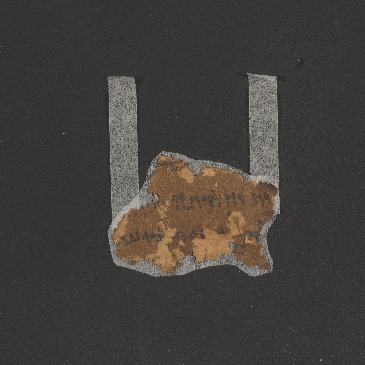 2Q Exodus a showing Exodus 32:33 from Late 1st Century BC – Mid-1st Century AD found in Qumran, Cave 2, currently housed at Rockefeller Museum, Jerusalem