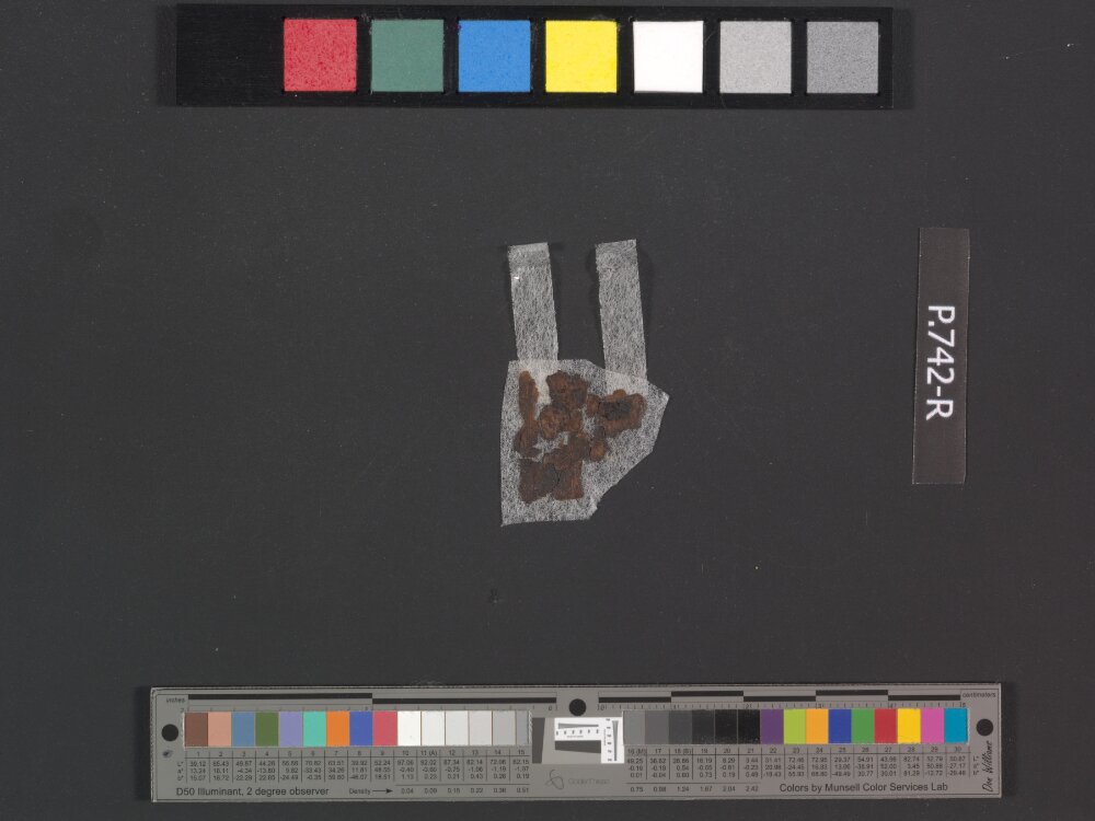 2Q Exodus c showing Exodus 5:3 from Late 1st Century BC found in Qumran, Cave 2, currently housed at Rockefeller Museum, Jerusalem