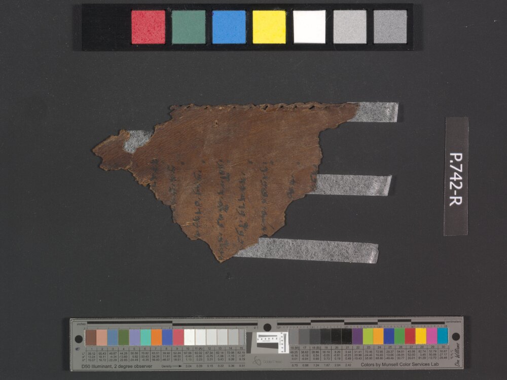 2Q paleoLeviticus showing Leviticus 11:22 from 1st Century BC found in Qumran, Cave 2, currently housed at Rockefeller Museum, Jerusalem
