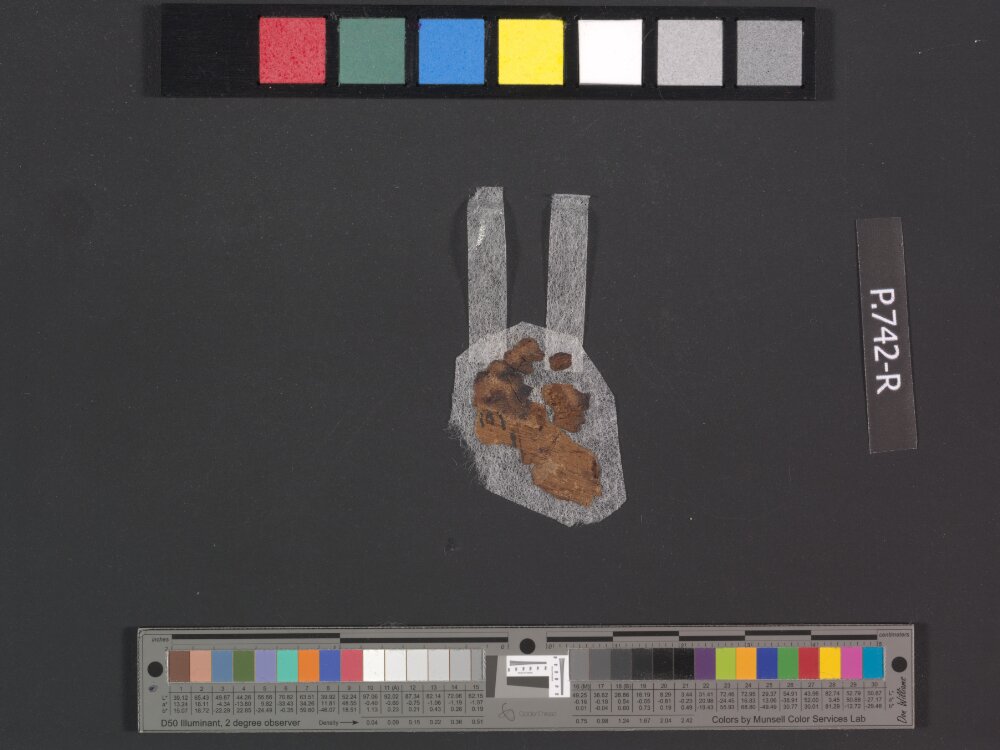 2Q Numbers(?) showing Numbers 18:8 from 1st Century BC – Mid-1st Century AD found in Qumran, Cave 2, currently housed at Rockefeller Museum, Jerusalem