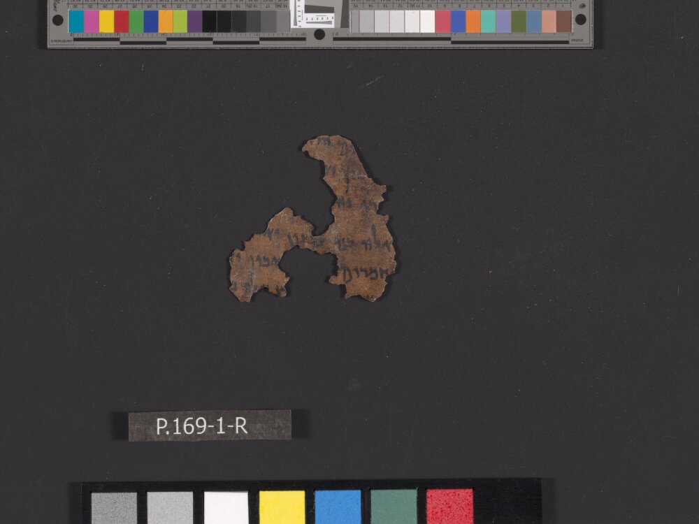4QGenesis-Exodus a showing Exodus 9:20 from Late 2nd Century BC found in Qumran, Cave 4, currently housed at Rockefeller Museum, Jerusalem