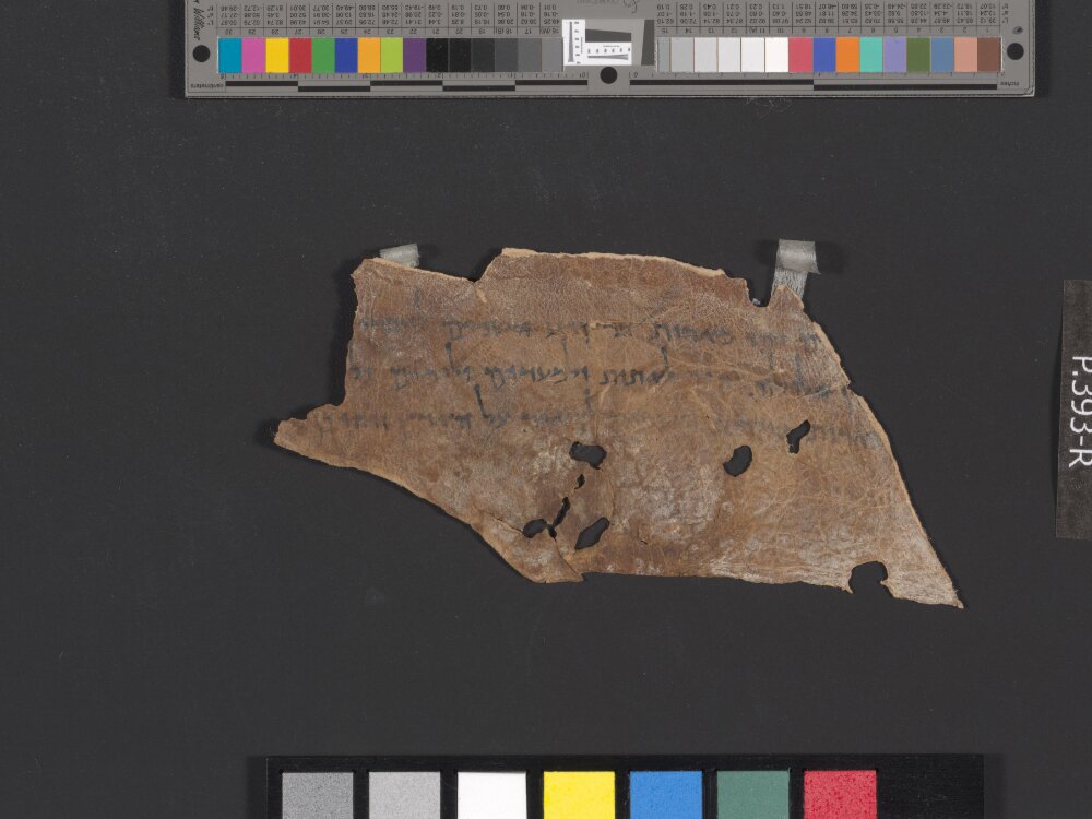 4QGenesis k showing Genesis 1:14 from Early 1st Century AD (c. 1–30 AD) found in Qumran, Cave 4, currently housed at Rockefeller Museum, Jerusalem