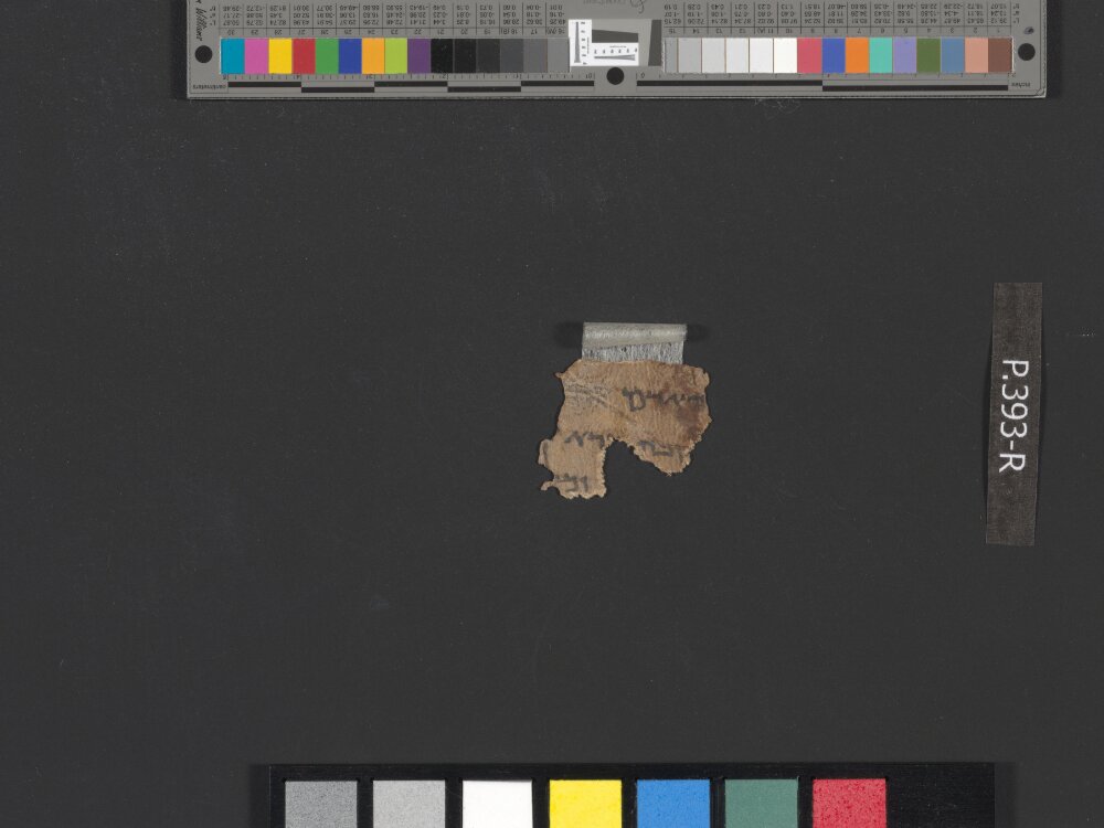 4QGenesis k showing Genesis 1:28 from Early 1st Century AD (c. 1–30 AD) found in Qumran, Cave 4, currently housed at Rockefeller Museum, Jerusalem