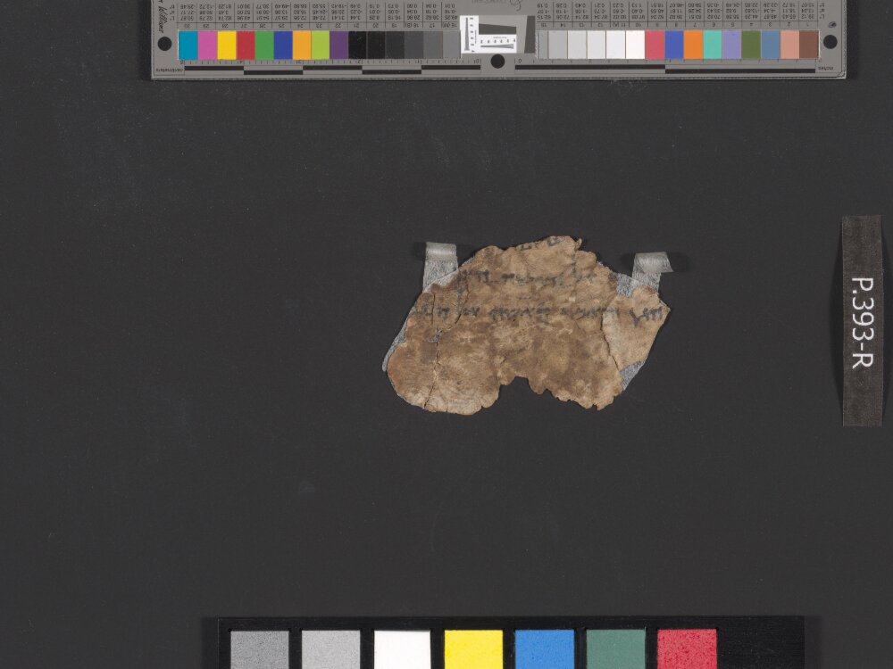 4QGenesis k showing Genesis 3:2 from Early 1st Century AD (c. 1–30 AD) found in Qumran, Cave 4, currently housed at Rockefeller Museum, Jerusalem