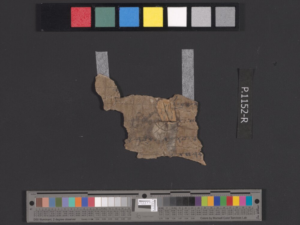 4QpaleoJobᶜ showing Job 13:23 from Late 3rd Century BC - Mid-2nd Century BC found in Qumran, Cave 4, currently housed at Rockefeller Museum, Jerusalem