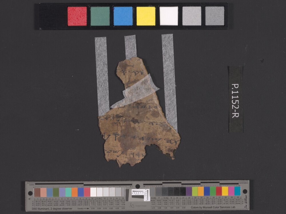 4QpaleoJobᶜ showing Job 14:13 from Late 3rd Century BC - Mid-2nd Century BC found in Qumran, Cave 4, currently housed at Rockefeller Museum, Jerusalem