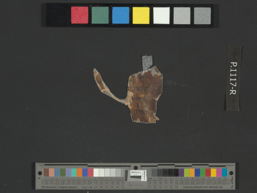 4QRuthb showing Ruth 1:3 from Late 1st Century BC – Mid-1st Century AD found in Qumran, Cave 4, currently housed at Rockefeller Museum, Jerusalem