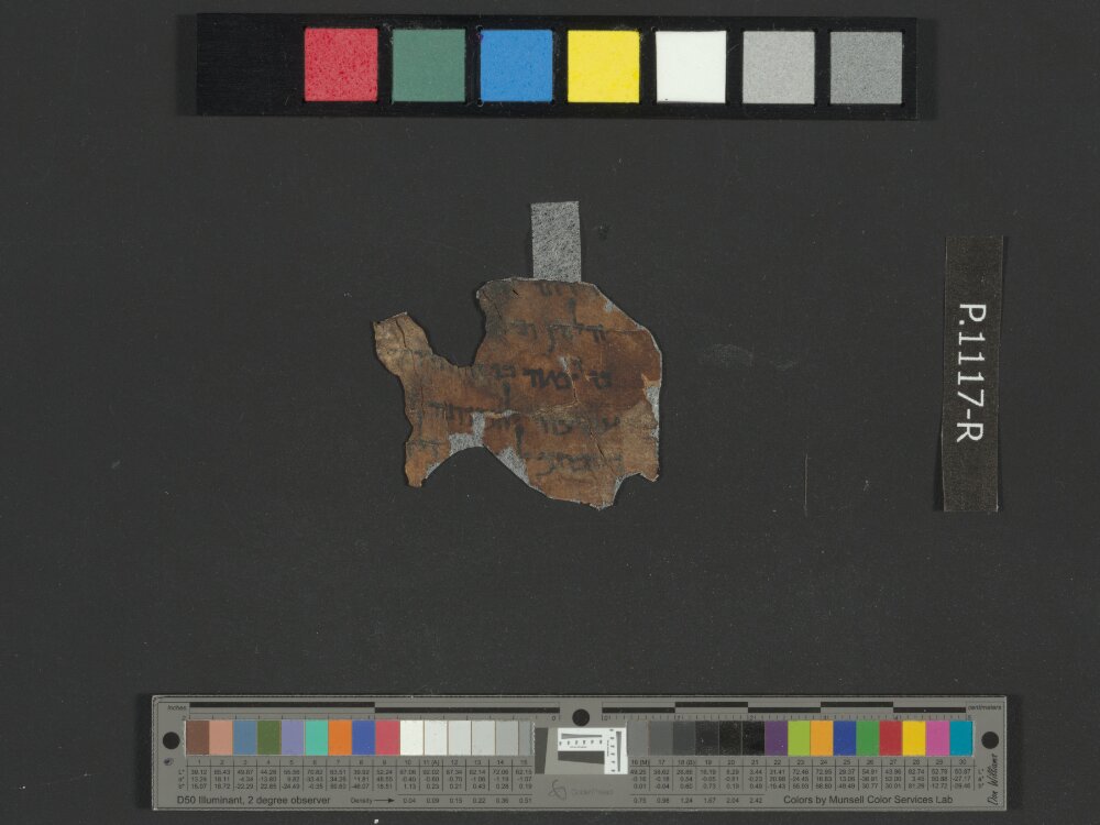 4QRuthb showing Ruth 1:13 from Late 1st Century BC – Mid-1st Century AD found in Qumran, Cave 4, currently housed at Rockefeller Museum, Jerusalem