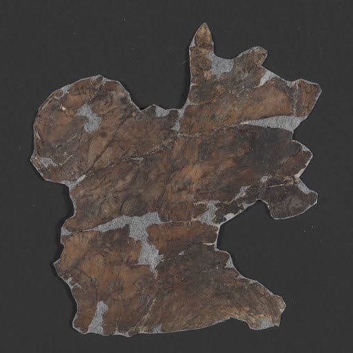 4QCanticles b (4QCantᵇ) showing Song of Solomon 4:2 from Late 1st Century BC – Early 1st Century AD found in Qumran, Cave 4, currently housed at Rockefeller Museum, Jerusalem
