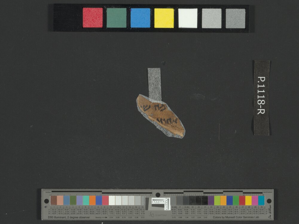 4QCanticles c (4QCantᶜ) showing Song of Solomon 3:7 from Late 1st Century BC – Early 1st Century AD found in Qumran, Cave 4, currently housed at Rockefeller Museum, Jerusalem