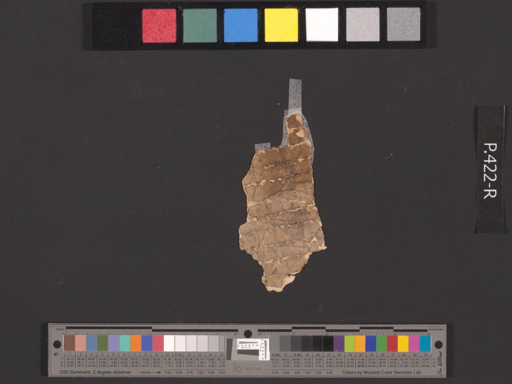 4QpaleoGenesis-Exodus l showing Exodus 16:2 from Late 2nd Century BC – Late 1st Century BC found in Qumran, Cave 4, currently housed at Rockefeller Museum, Jerusalem