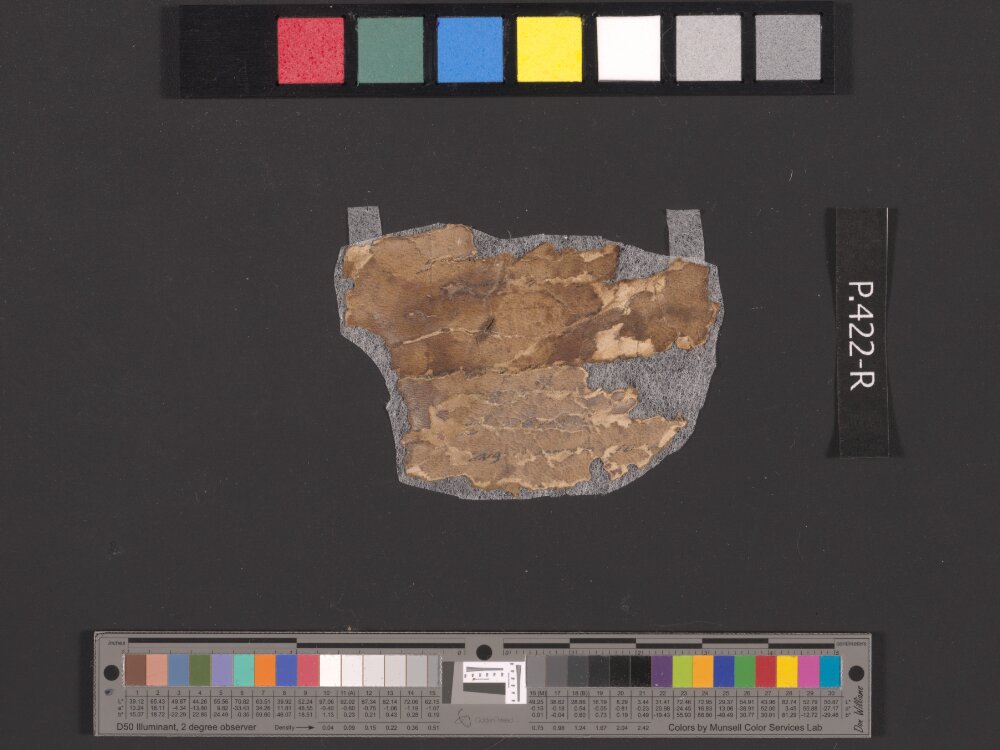 4QpaleoGenesis-Exodus l showing Exodus 16:33 from Late 2nd Century BC – Late 1st Century BC found in Qumran, Cave 4, currently housed at Rockefeller Museum, Jerusalem