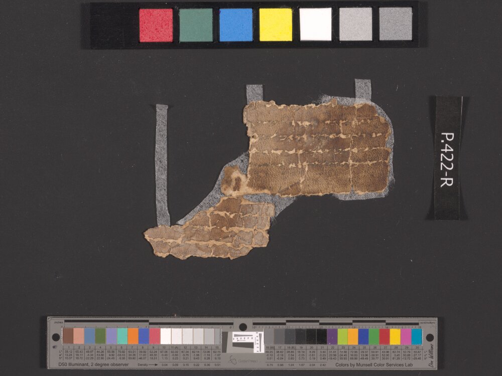 4QpaleoGenesis-Exodus l showing Exodus 17:2 from Late 2nd Century BC – Late 1st Century BC found in Qumran, Cave 4, currently housed at Rockefeller Museum, Jerusalem
