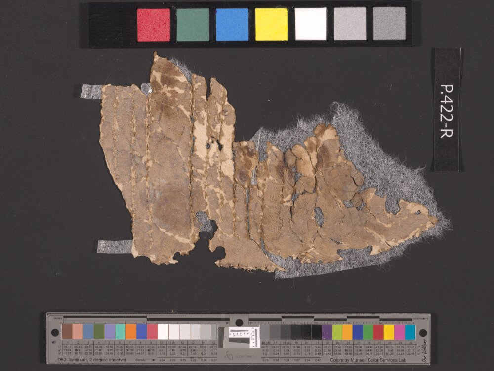 4QpaleoGenesis-Exodus l (Scan 1) showing Exodus 18:21 from Late 2nd Century BC – Late 1st Century BC found in Qumran, Cave 4, currently housed at Rockefeller Museum, Jerusalem