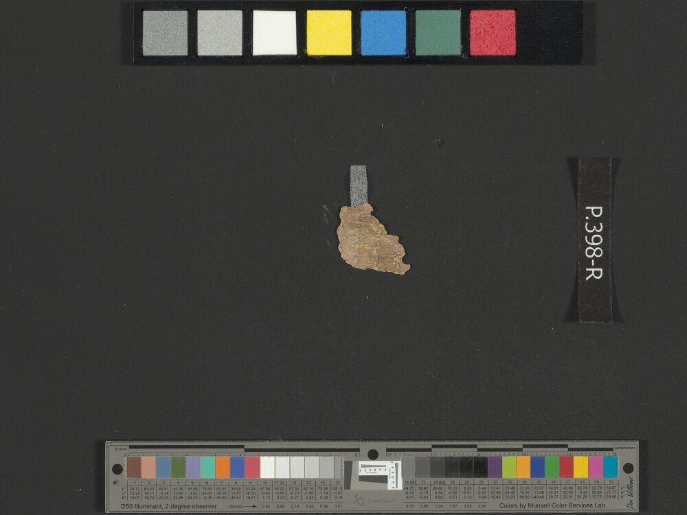 4QpaleoGenesis-Exodus l (Scan 1) showing Exodus 1:2 from Late 2nd Century BC – Late 1st Century BC found in Qumran, Cave 4, currently housed at Rockefeller Museum, Jerusalem