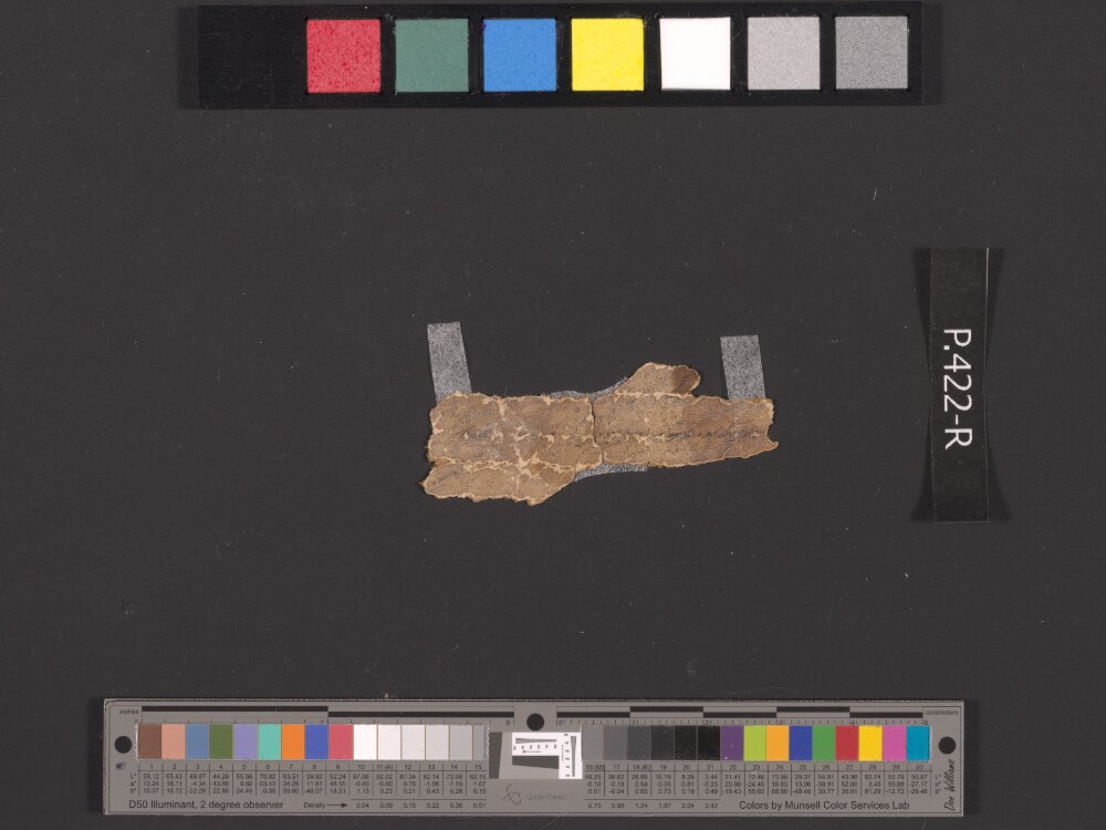 4QpaleoGenesis-Exodus l (Scan 2) showing Exodus 18:21 from Late 2nd Century BC – Late 1st Century BC found in Qumran, Cave 4, currently housed at Rockefeller Museum, Jerusalem