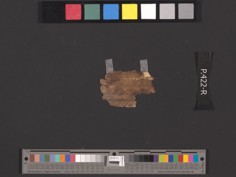 4QpaleoGenesis-Exodus l showing Exodus 19:25 from Late 2nd Century BC – Late 1st Century BC found in Qumran, Cave 4, currently housed at Rockefeller Museum, Jerusalem
