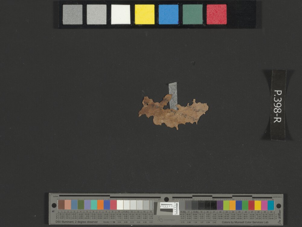 4QpaleoGenesis-Exodus l showing Exodus 25:7 from Late 2nd Century BC – Late 1st Century BC found in Qumran, Cave 4, currently housed at Rockefeller Museum, Jerusalem