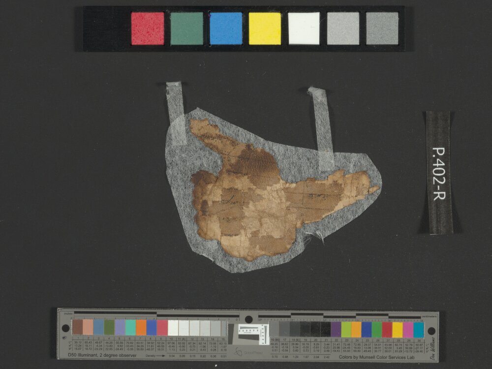 4QpaleoGenesis-Exodus l showing Exodus 2:10 from Late 2nd Century BC – Late 1st Century BC found in Qumran, Cave 4, currently housed at Rockefeller Museum, Jerusalem