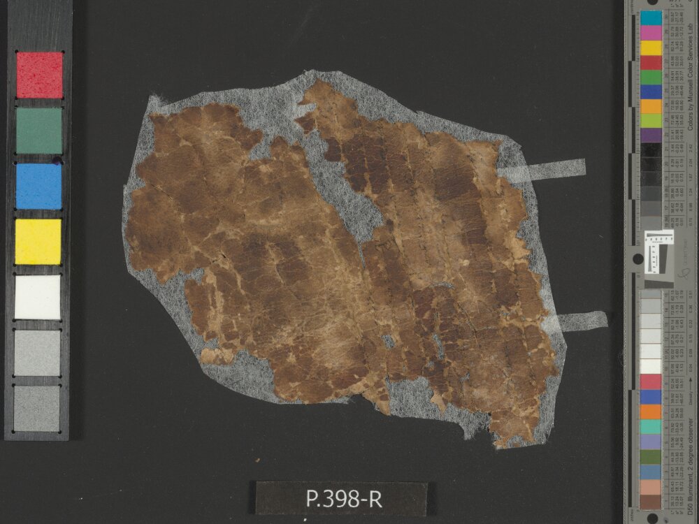 4QpaleoGenesis-Exodus l showing Exodus 27:7 from Late 2nd Century BC – Late 1st Century BC found in Qumran, Cave 4, currently housed at Rockefeller Museum, Jerusalem