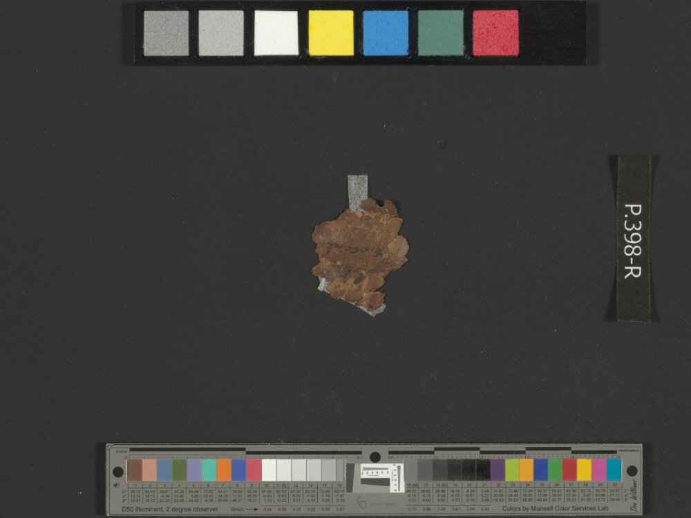 4QpaleoGenesis-Exodus l showing Exodus 28:41 from Late 2nd Century BC – Late 1st Century BC found in Qumran, Cave 4, currently housed at Rockefeller Museum, Jerusalem