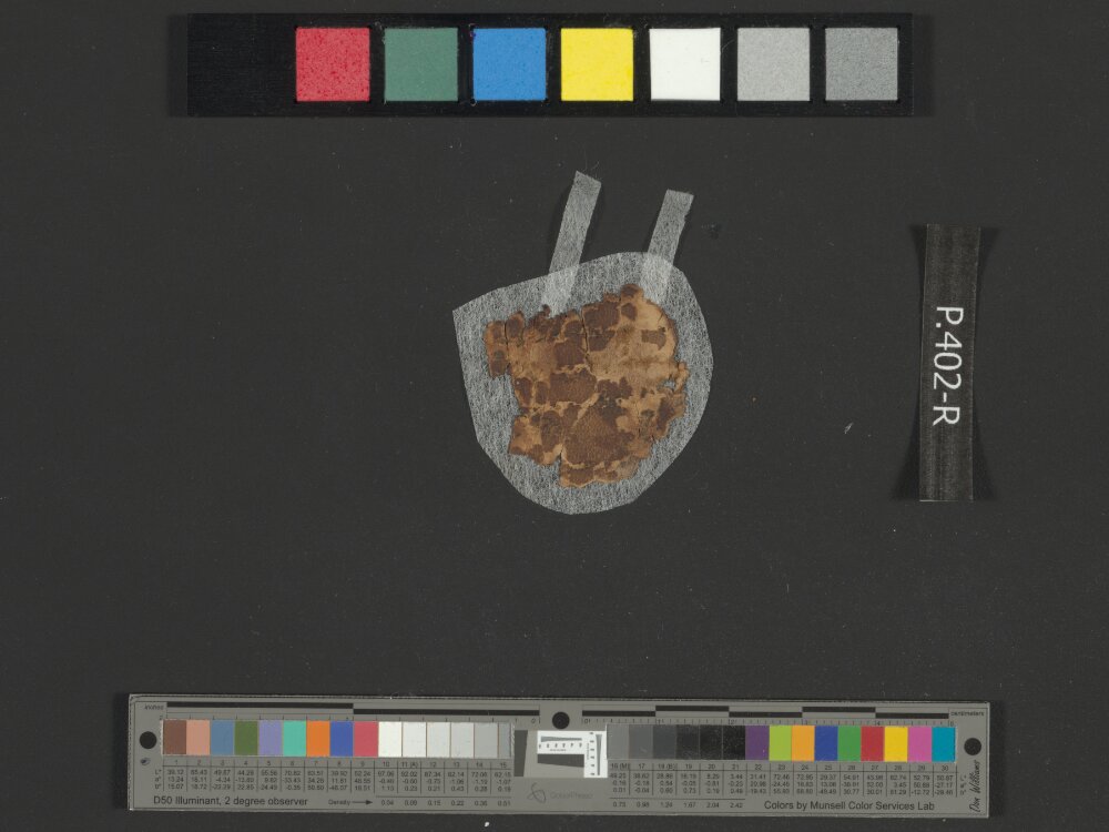 4QpaleoGenesis-Exodus l (Scan 2) showing Exodus 3:4 from Late 2nd Century BC – Late 1st Century BC found in Qumran, Cave 4, currently housed at Rockefeller Museum, Jerusalem