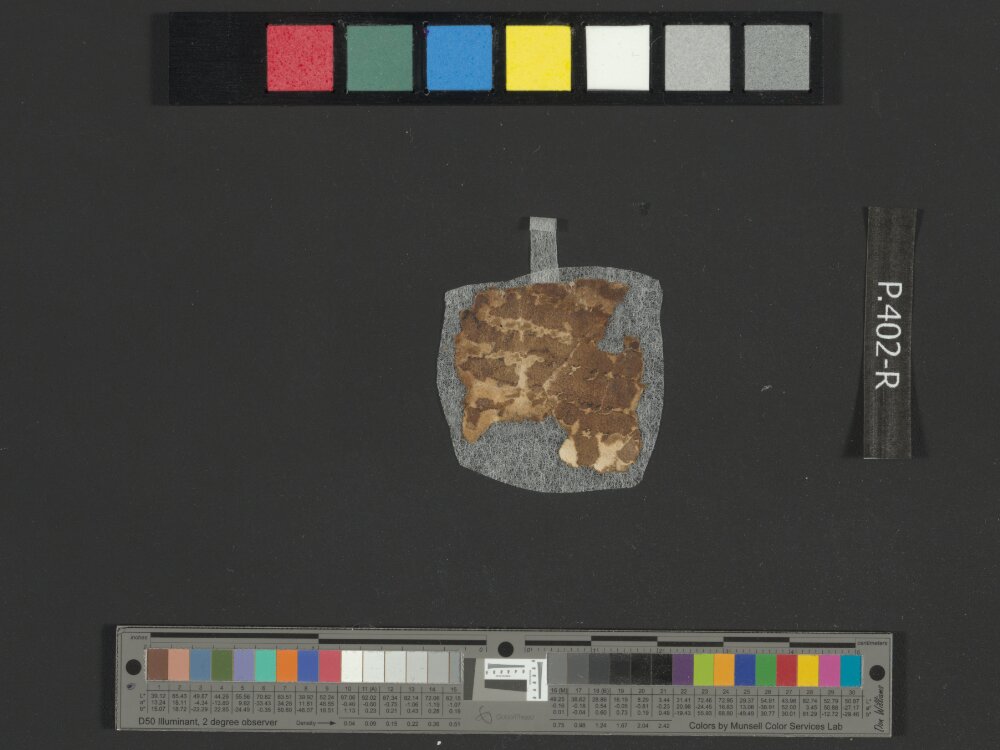 4QpaleoGenesis-Exodus l showing Exodus 8:20 from Late 2nd Century BC – Late 1st Century BC found in Qumran, Cave 4, currently housed at Rockefeller Museum, Jerusalem