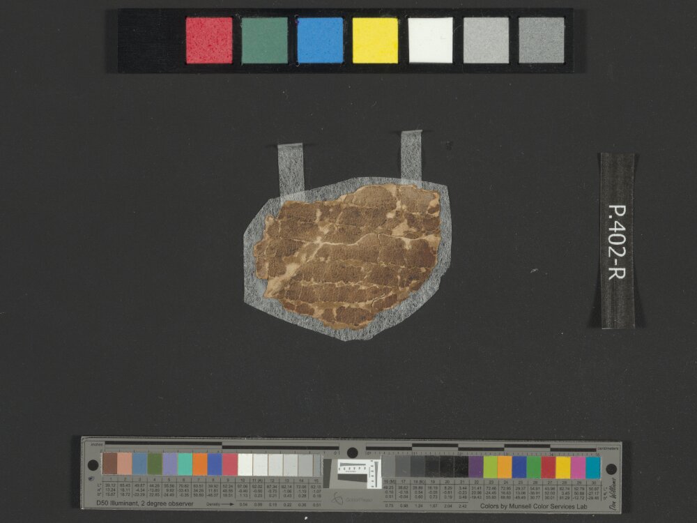 4QpaleoGenesis-Exodus l showing Exodus 12:2 from Late 2nd Century BC – Late 1st Century BC found in Qumran, Cave 4, currently housed at Rockefeller Museum, Jerusalem