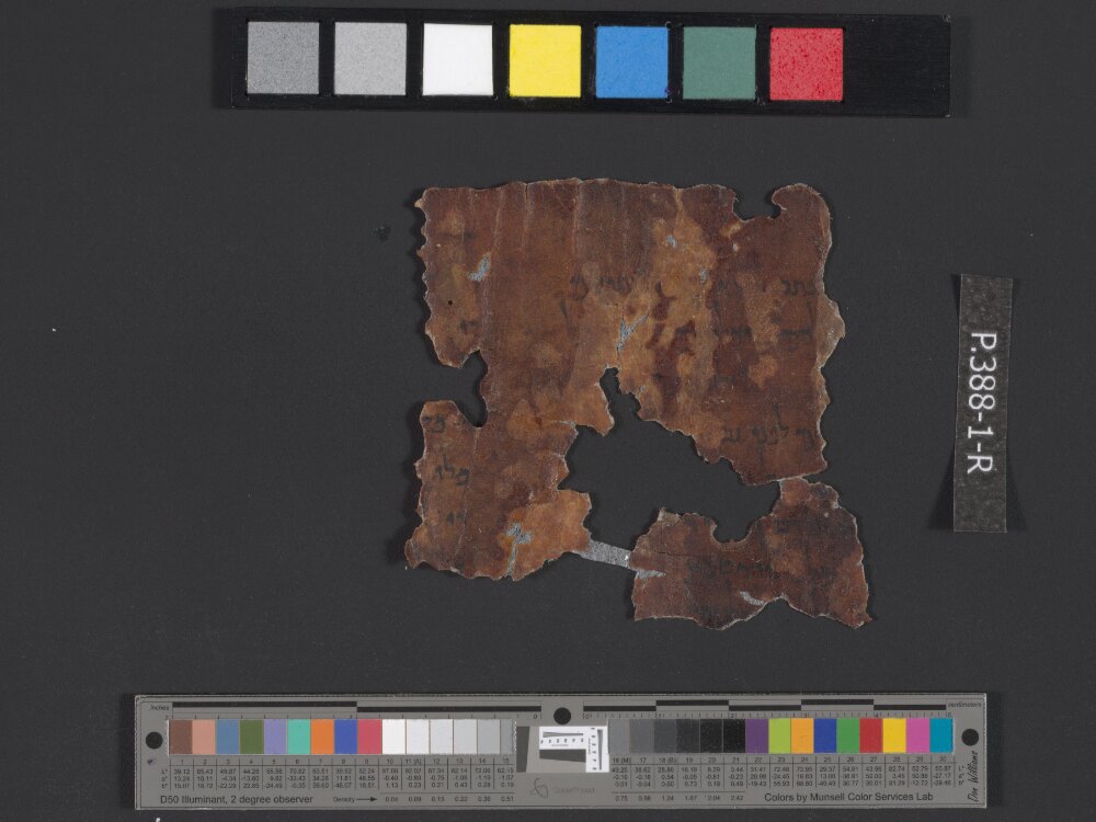 4QDaniel a (4QDanᵃ) showing Daniel 2:9 from Mid-1st Century BC (c. 75–25 BC) found in Qumran, Cave 4, currently housed at Rockefeller Museum, Jerusalem