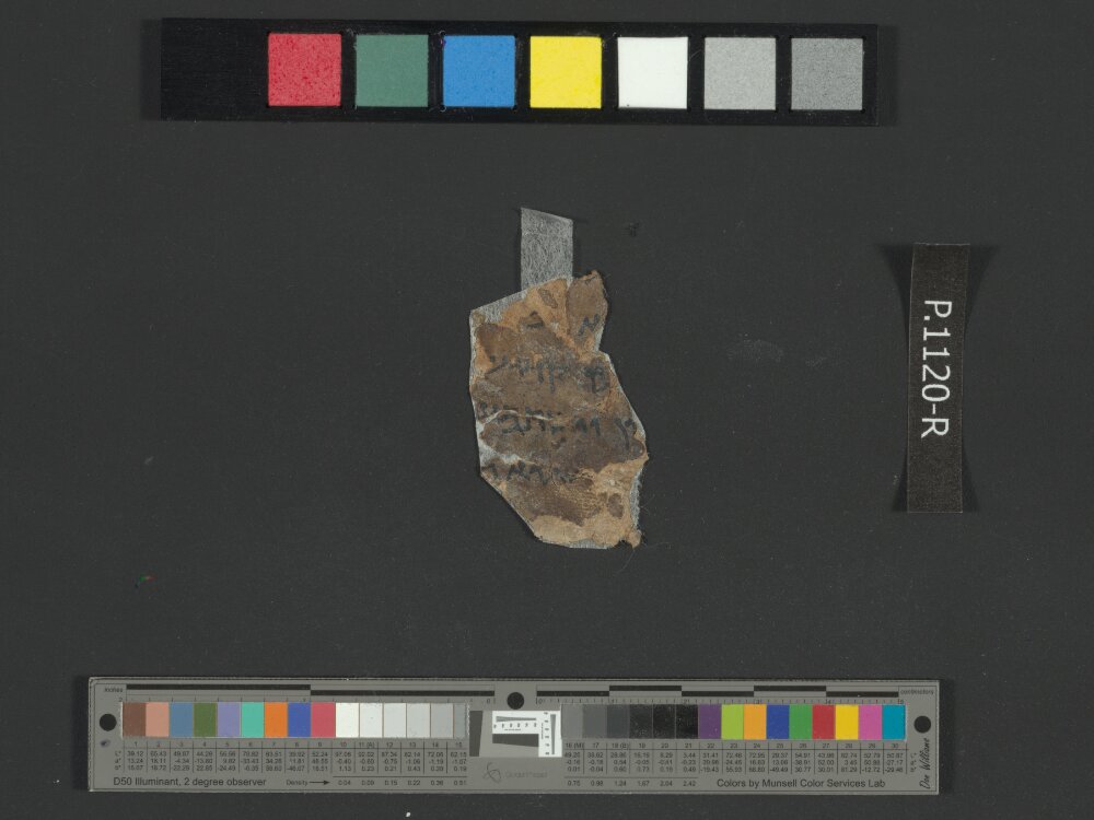 4QDaniel(b) (Scan 1) showing Daniel 7:28 from Early 1st Century AD found in Qumran, Cave 4, currently housed at Rockefeller Museum, Jerusalem
