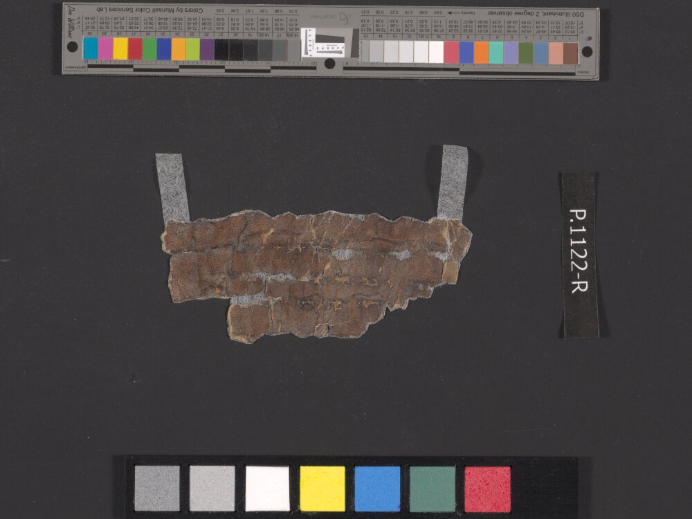 4QDaniel d (4QDanᵈ) (Scan 3) showing Daniel 4:13 from Late 1st Century BC found in Qumran, Cave 4, currently housed at Rockefeller Museum, Jerusalem