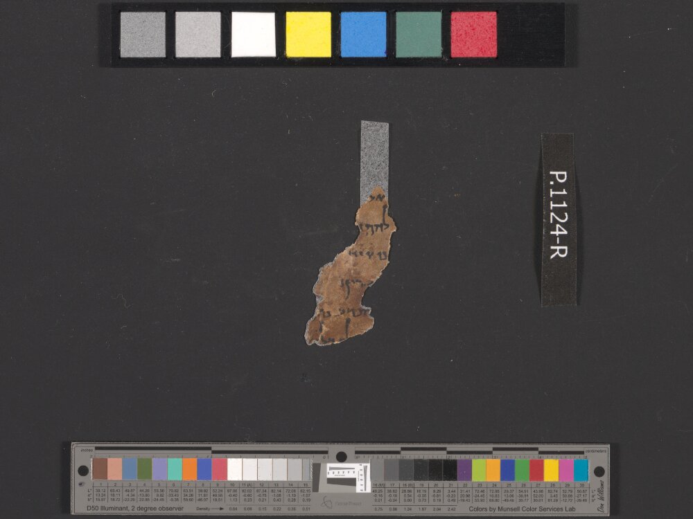 4QEzra (4QEzr) showing Ezra (2 Esdras) 4:2 from Mid-1st Century BC (c. 50 BC) found in Qumran, Cave 4, currently housed at Rockefeller Museum, Jerusalem