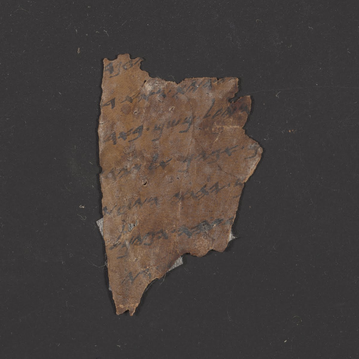 4QpaleoGen m (Scan 2) showing Genesis 26:21 from Hasmonean Period (c. 150–30 BC) found in Qumran, Cave 4, currently housed at Rockefeller Museum, Jerusalem