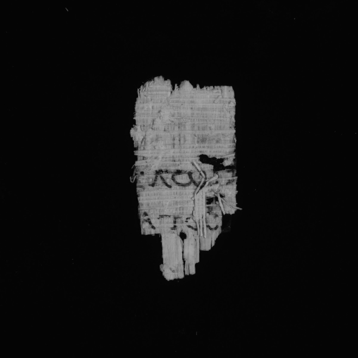 4Q papLXXLeviticus b (Scan 1) showing Leviticus 2:3 from 1st Century BC – Early 1st Century AD found in Qumran, Cave 4, currently housed at Rockefeller Museum, Jerusalem