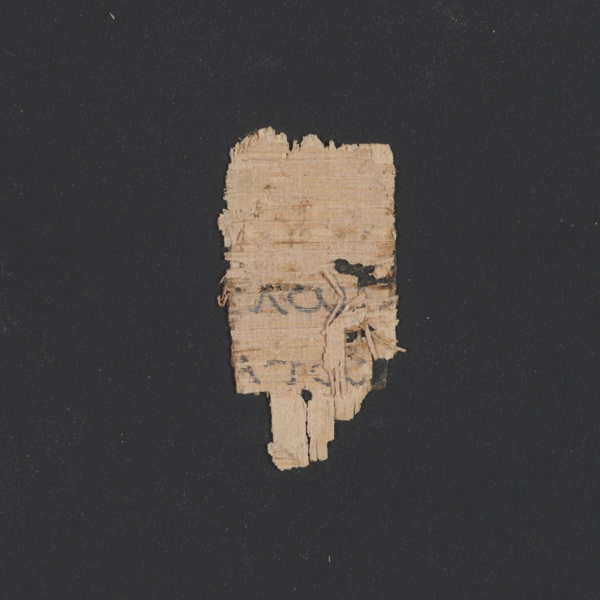 4Q papLXXLeviticus b (Scan 2) showing Leviticus 2:3 from 1st Century BC – Early 1st Century AD found in Qumran, Cave 4, currently housed at Rockefeller Museum, Jerusalem