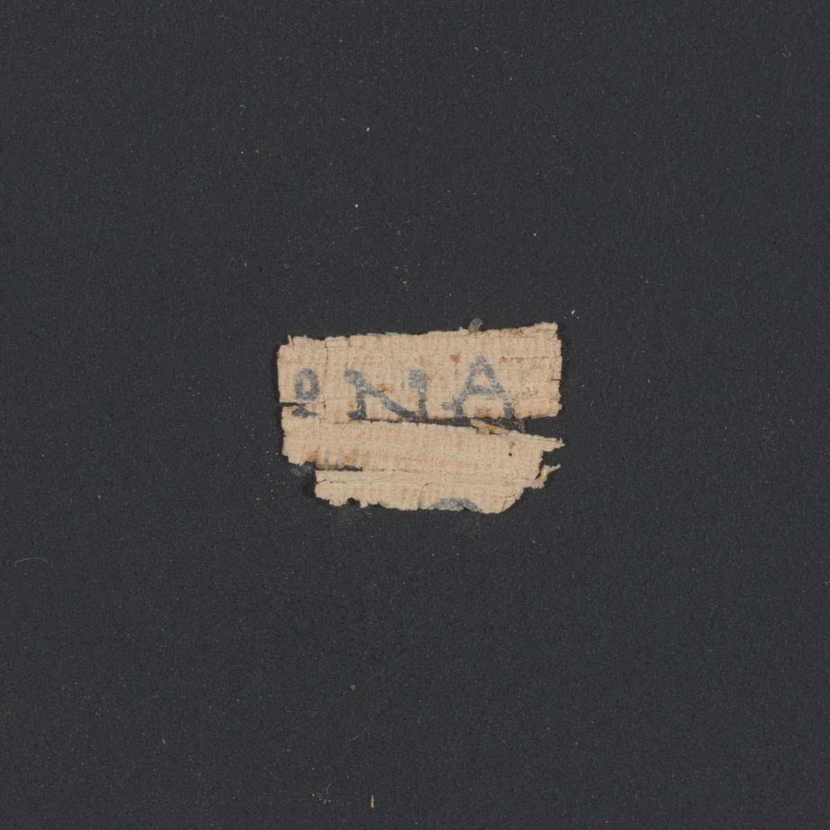 4Q papLXXLeviticus b (Scan 1) showing Leviticus 2:7 from 1st Century BC – Early 1st Century AD found in Qumran, Cave 4, currently housed at Rockefeller Museum, Jerusalem