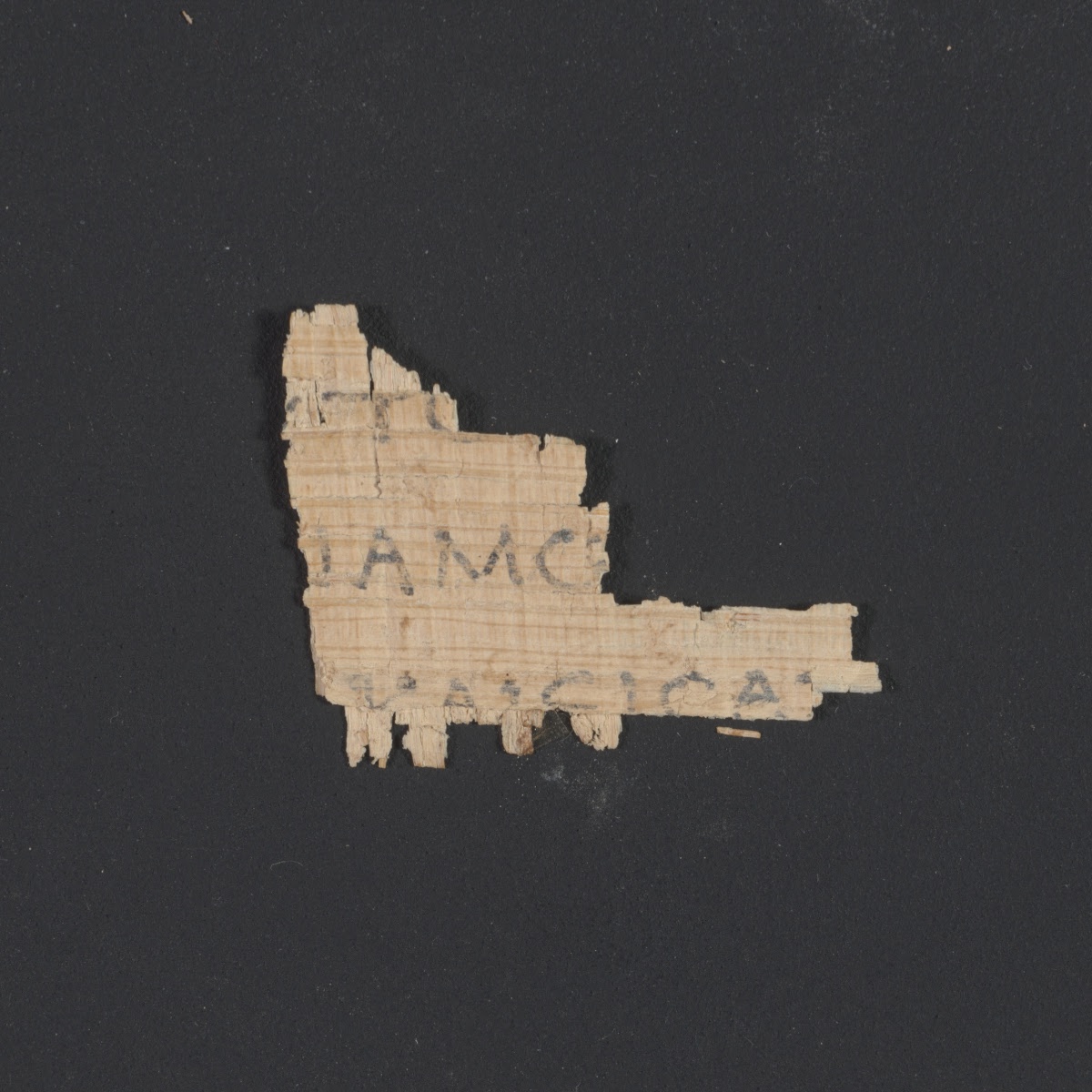 4Q papLXXLeviticus b (Scan 2) showing Leviticus 2:8 from 1st Century BC – Early 1st Century AD found in Qumran, Cave 4, currently housed at Rockefeller Museum, Jerusalem