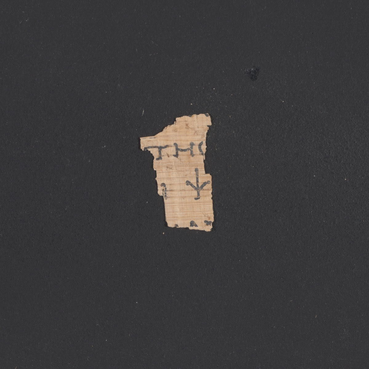 4Q papLXXLeviticus b (Scan 1) showing Leviticus 4:28 from 1st Century BC – Early 1st Century AD found in Qumran, Cave 4, currently housed at Rockefeller Museum, Jerusalem