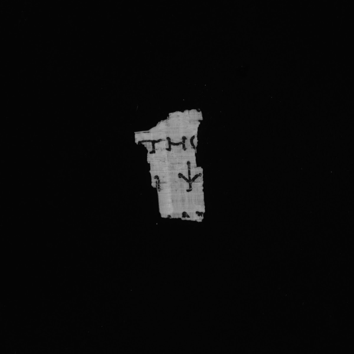 4Q papLXXLeviticus b (Scan 2) showing Leviticus 4:28 from 1st Century BC – Early 1st Century AD found in Qumran, Cave 4, currently housed at Rockefeller Museum, Jerusalem