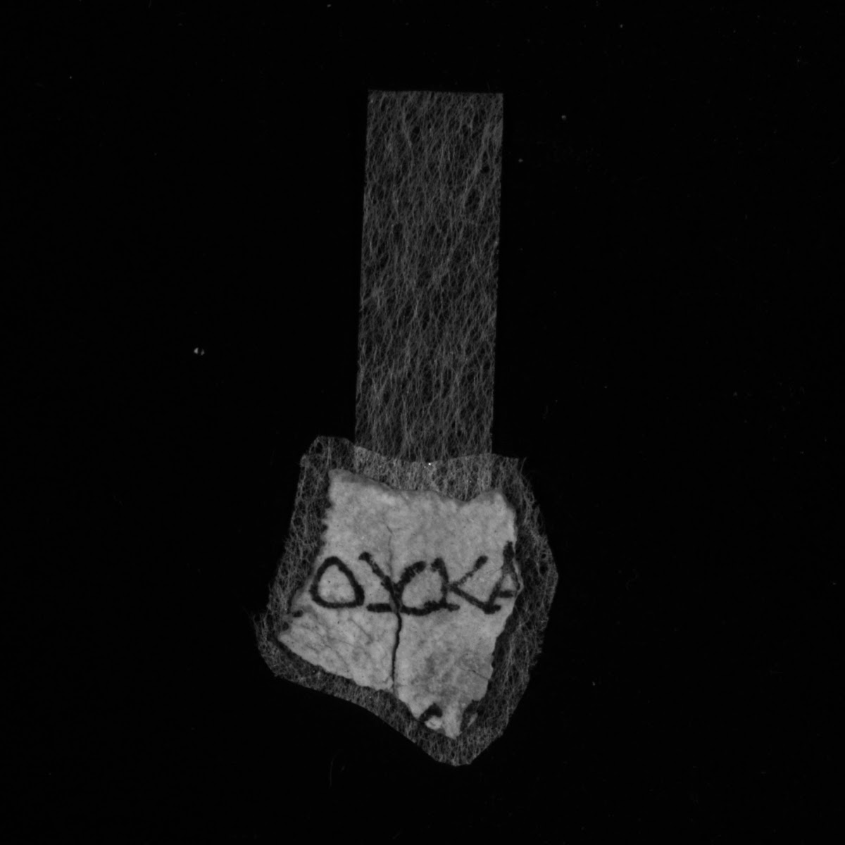 4Q LXXNumbers (Scan 4) showing Numbers 4:8 from Late 1st Century BC – Mid-1st Century AD found in Qumran, Cave 4, currently housed at Rockefeller Museum, Jerusalem