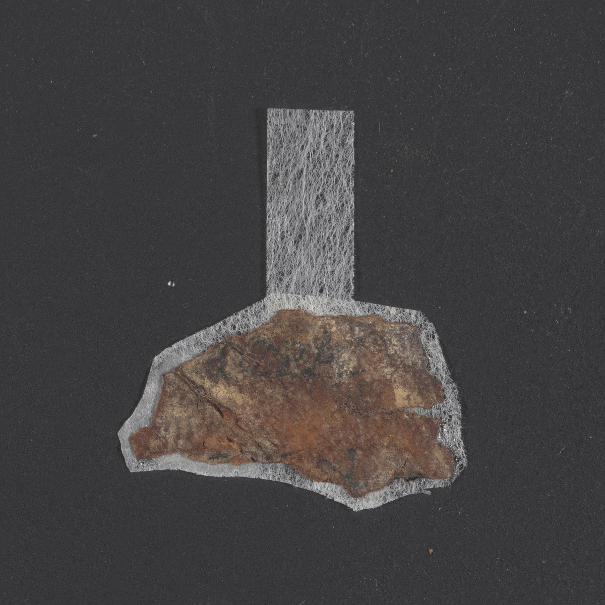 4Q LXXNumbers (Scan 3) showing Numbers 4:13 from Late 1st Century BC – Mid-1st Century AD found in Qumran, Cave 4, currently housed at Rockefeller Museum, Jerusalem
