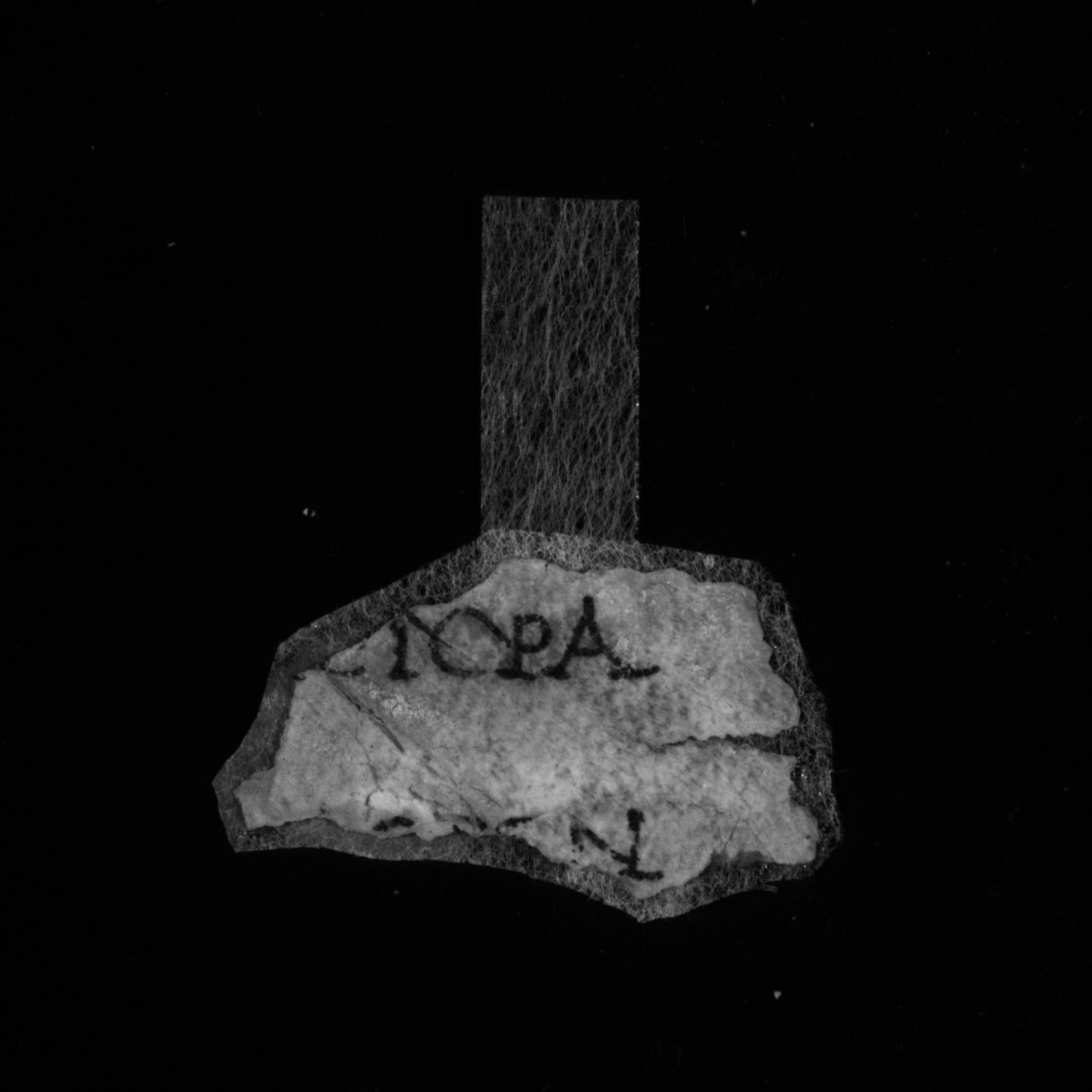 4Q LXXNumbers (Scan 4) showing Numbers 4:13 from Late 1st Century BC – Mid-1st Century AD found in Qumran, Cave 4, currently housed at Rockefeller Museum, Jerusalem